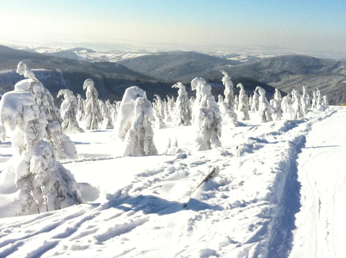 Apartman Dante Spindleruv Mlyn Apartment ภายนอก รูปภาพ